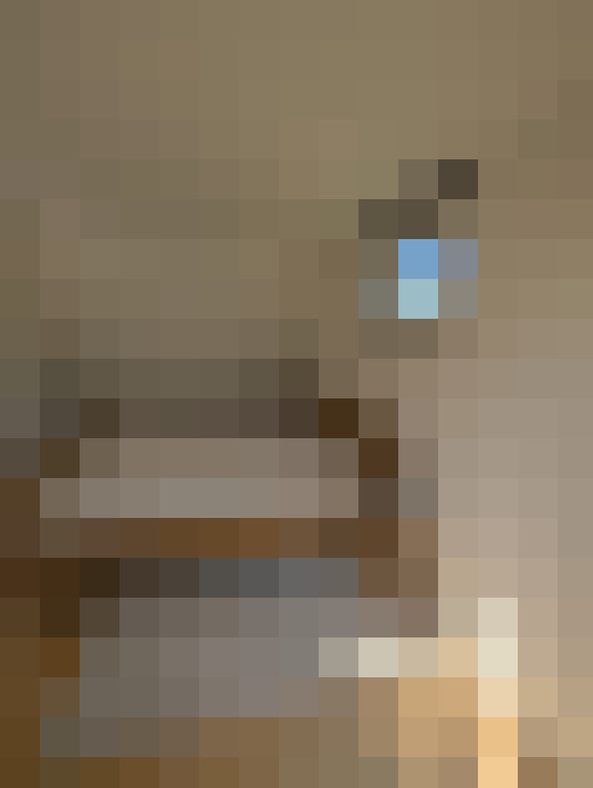  / #16