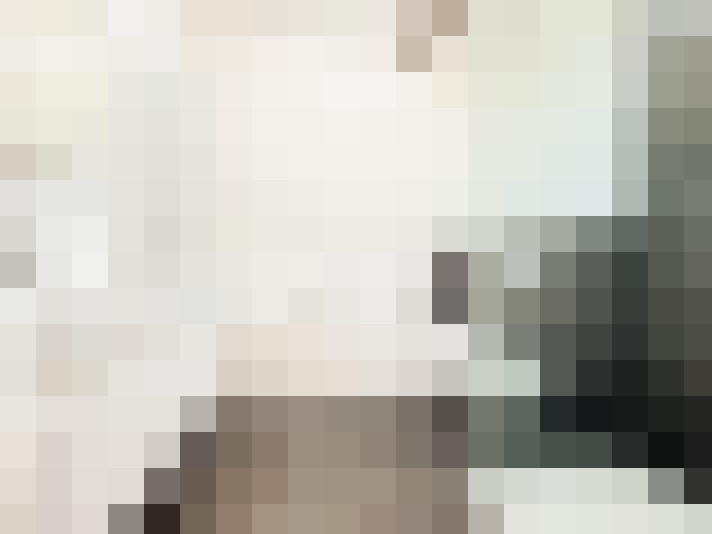  / #22