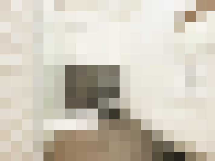  / #18