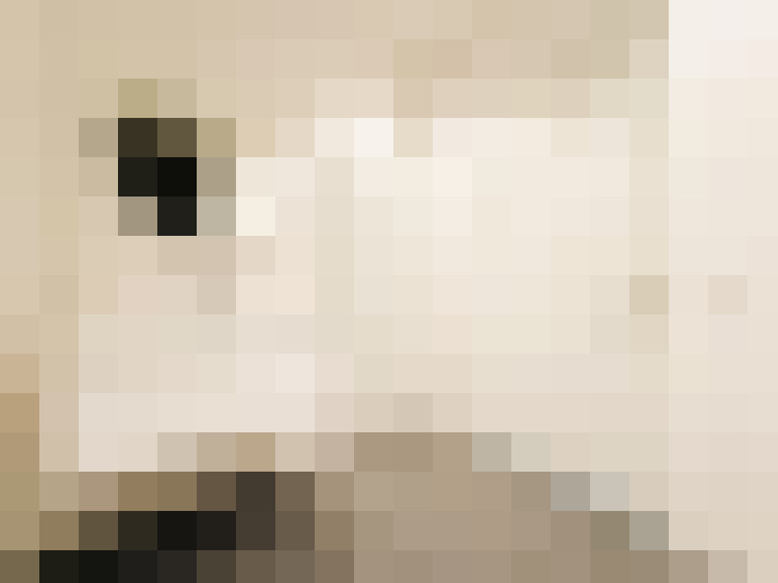  / #19