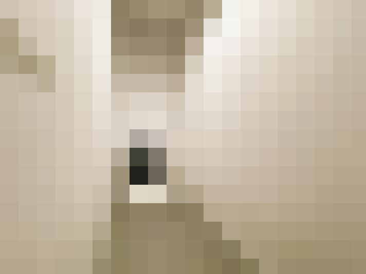 / #21