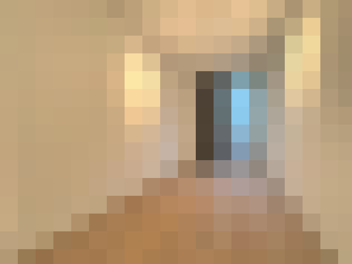  / #16