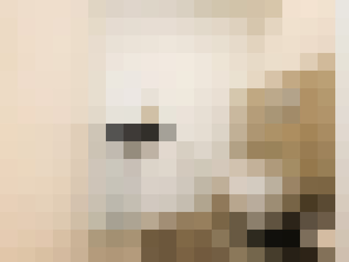  / #17