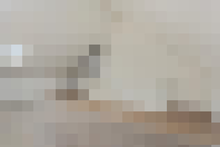  / #22