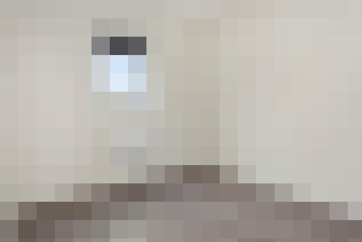 / #16