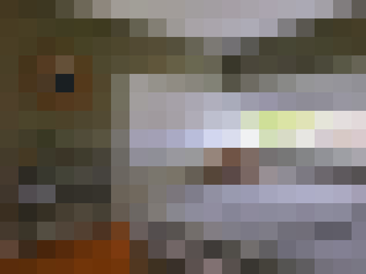  / #16