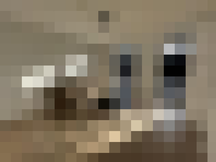  / #20