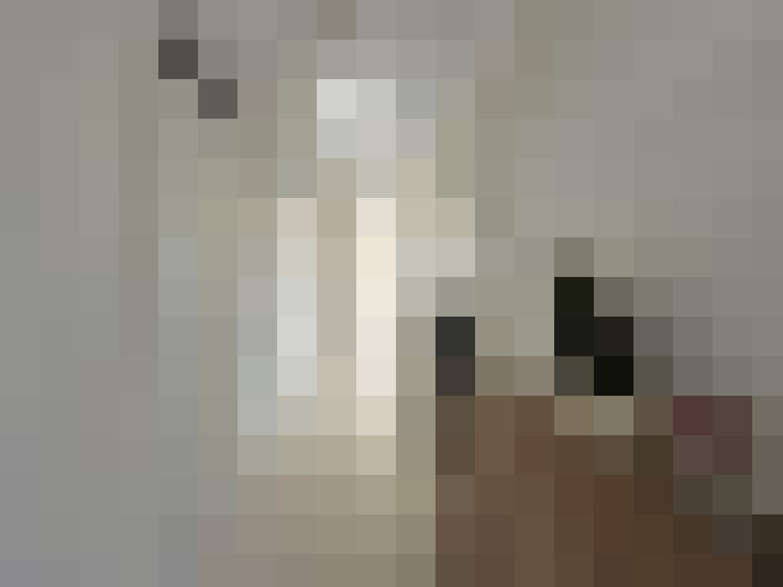  / #19