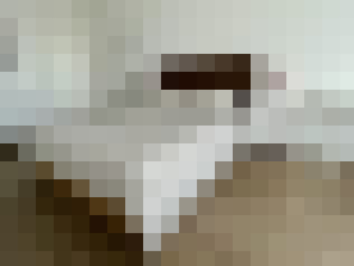  / #38