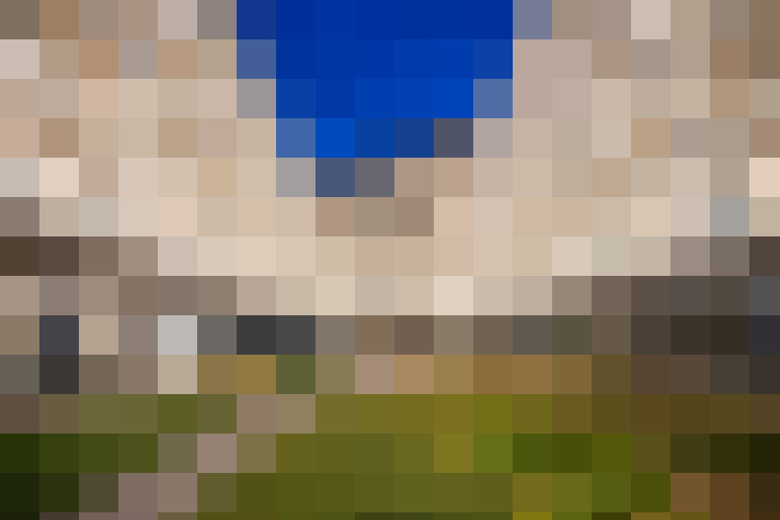  / #37