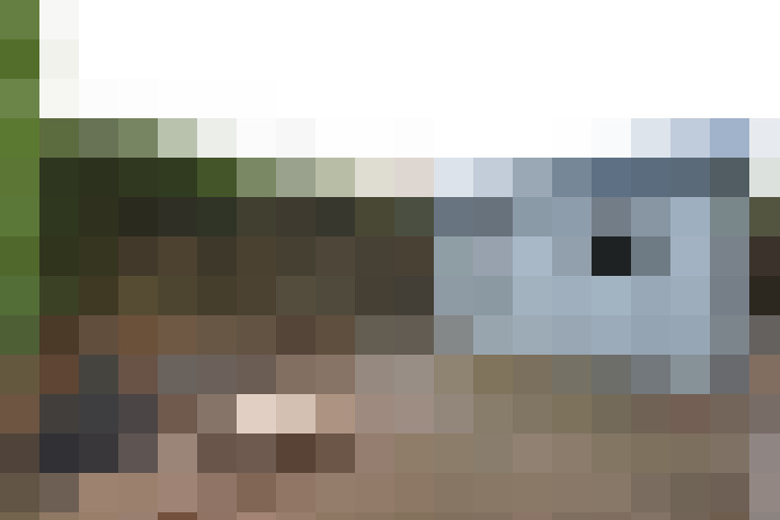  / #19