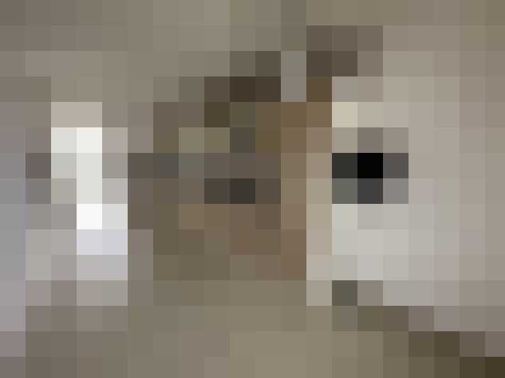  / #9
