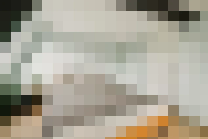  / #22