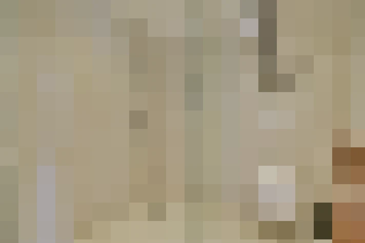  / #24