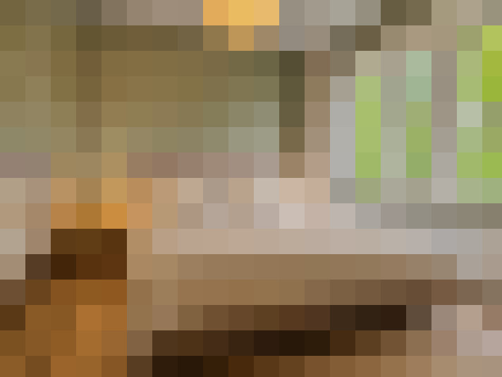  / #16