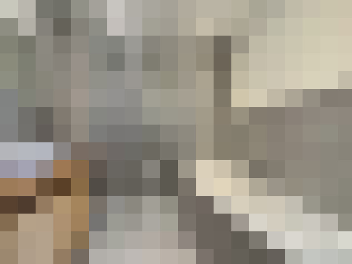  / #19