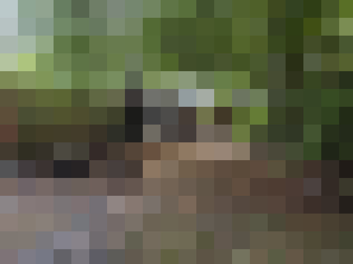  / #14