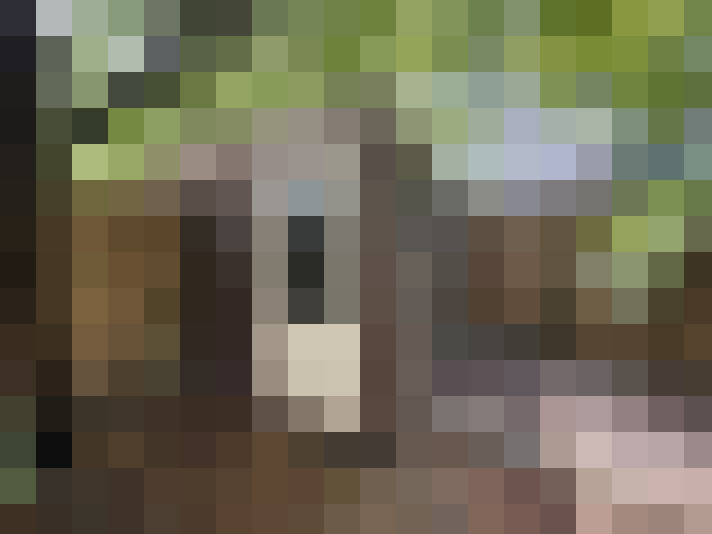  / #16