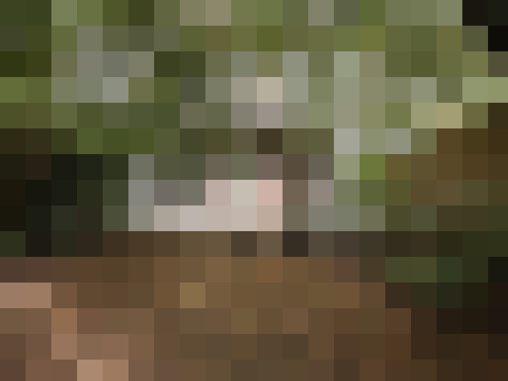  / #15
