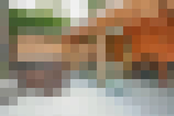  / #58