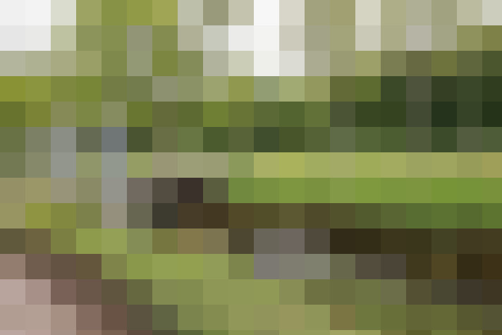  / #70