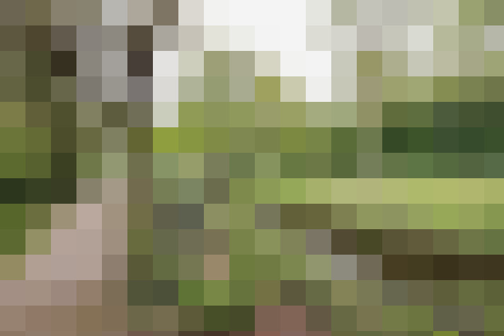  / #69