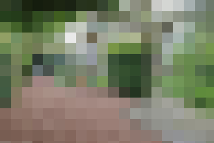  / #68