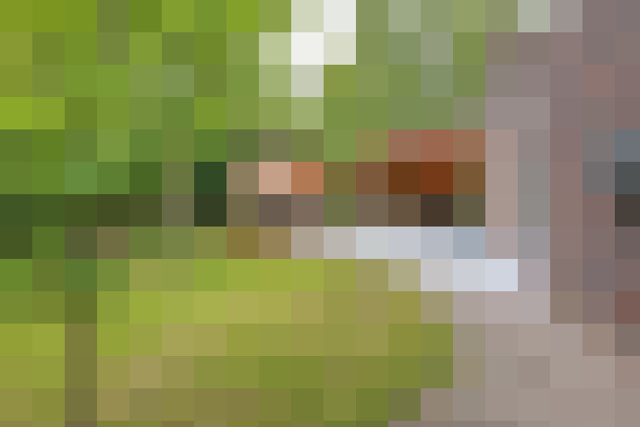  / #61