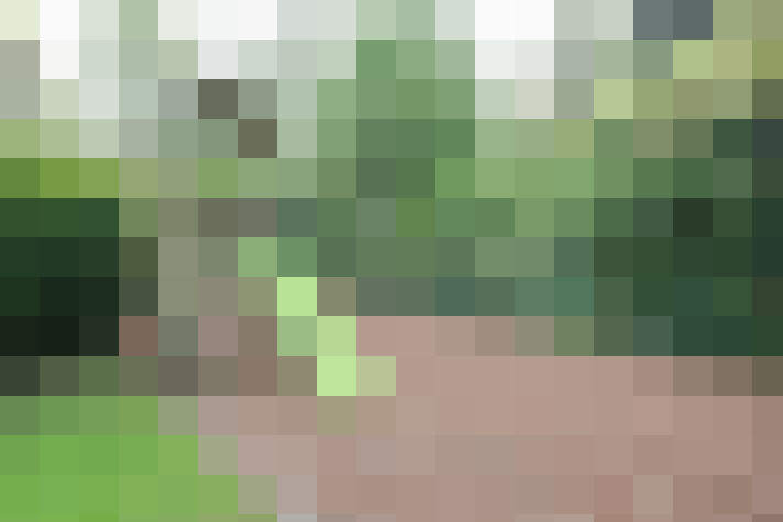 / #67