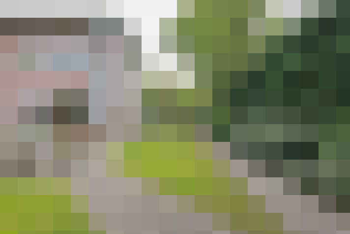  / #63