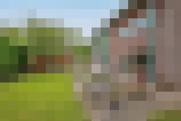  / #62
