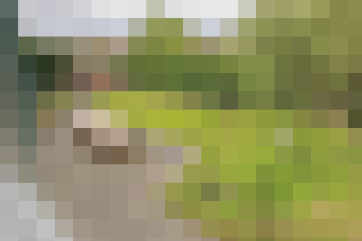  / #54