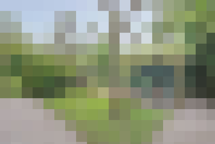 / #64
