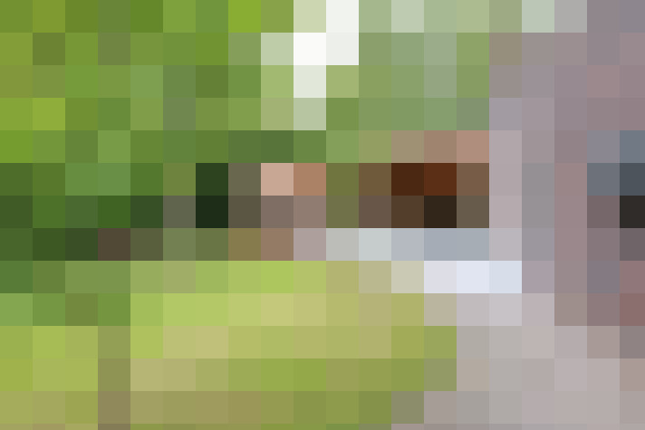  / #56
