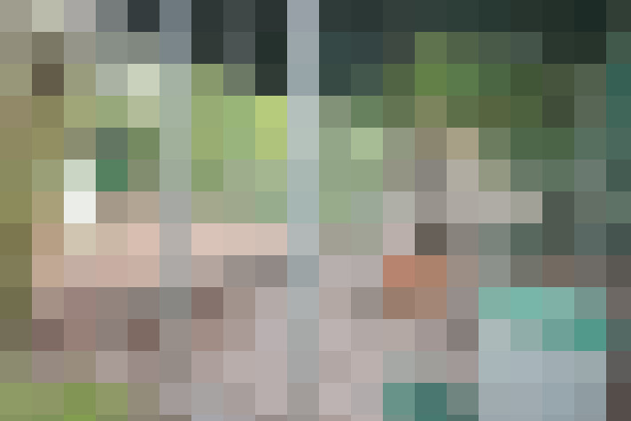  / #66