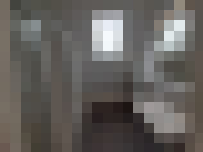 / #14