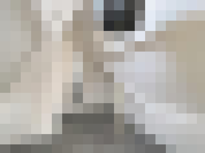 / #17