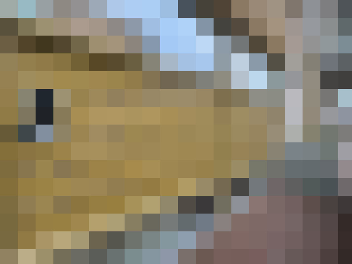  / #61