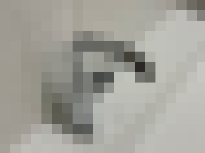  / #21