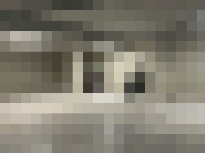  / #56