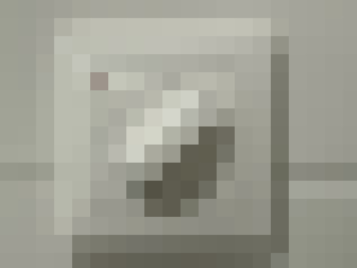  / #33