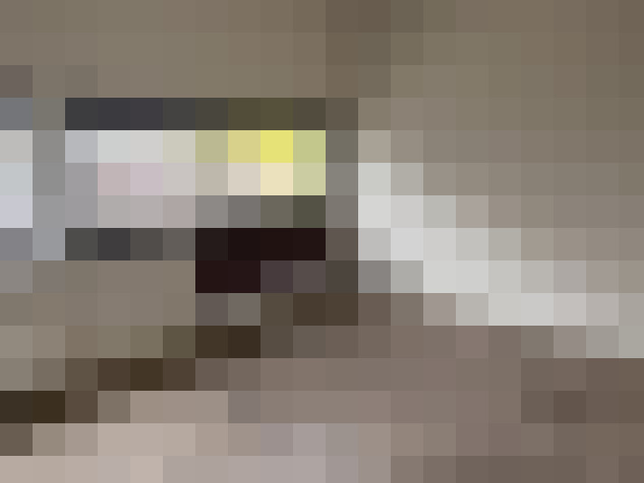  / #13