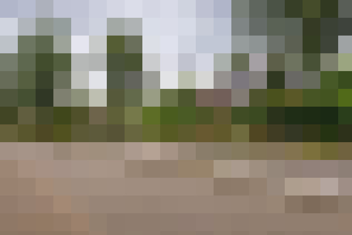  / #59