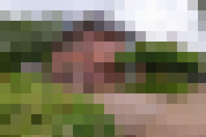  / #56
