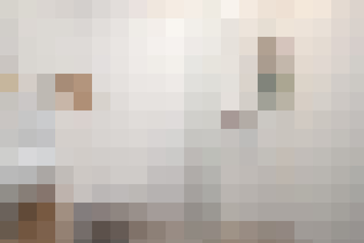  / #15