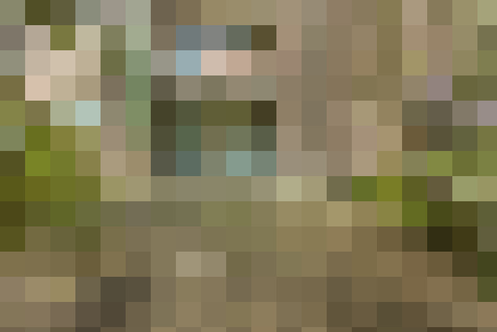  / #26