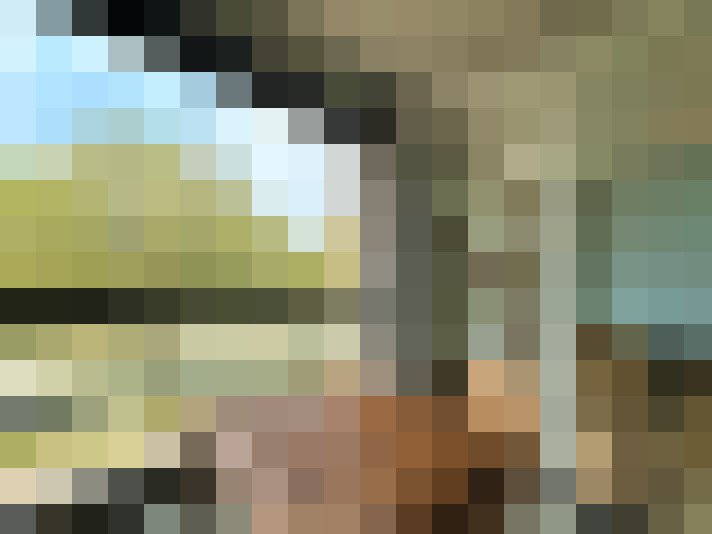  / #16
