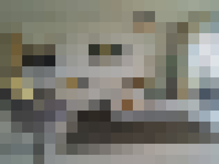  / #19