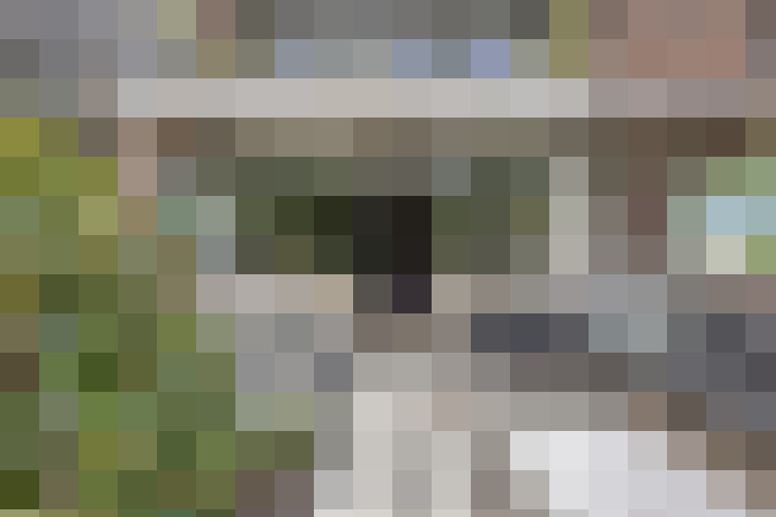  / #23