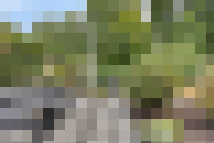  / #17